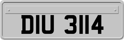 DIU3114