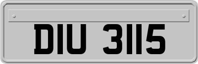 DIU3115