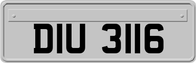 DIU3116