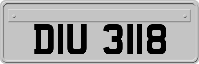 DIU3118