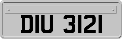 DIU3121