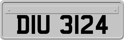 DIU3124