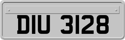 DIU3128