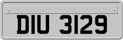 DIU3129