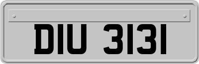 DIU3131