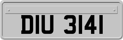 DIU3141