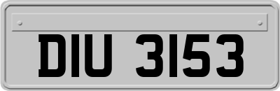 DIU3153