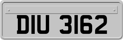 DIU3162
