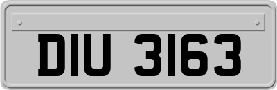 DIU3163