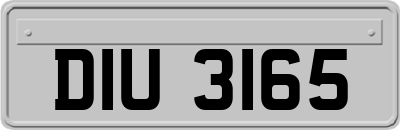 DIU3165