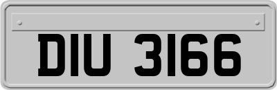 DIU3166