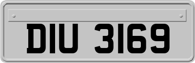 DIU3169