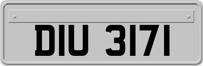 DIU3171