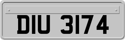 DIU3174