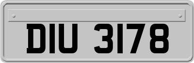 DIU3178