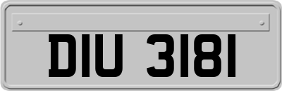 DIU3181