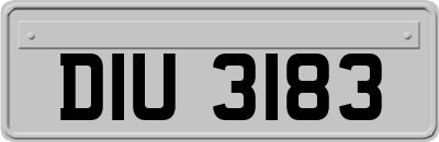 DIU3183