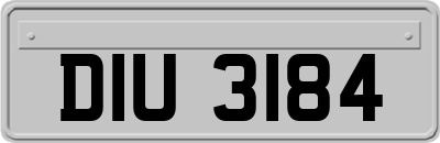 DIU3184