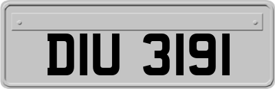 DIU3191
