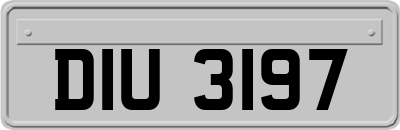 DIU3197