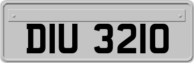 DIU3210