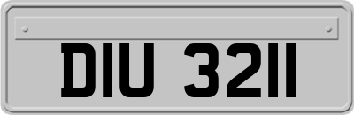 DIU3211