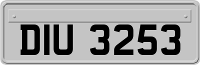 DIU3253
