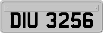 DIU3256