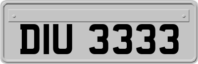 DIU3333