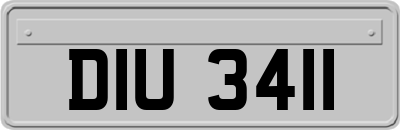 DIU3411