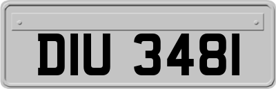 DIU3481