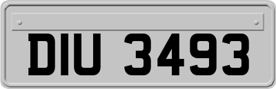 DIU3493