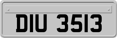 DIU3513