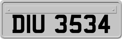DIU3534