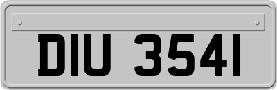 DIU3541