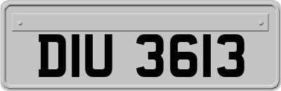 DIU3613