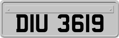 DIU3619