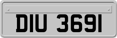 DIU3691