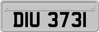 DIU3731