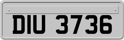 DIU3736