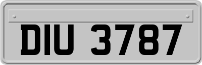 DIU3787