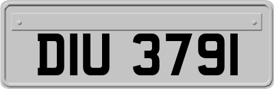DIU3791