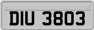 DIU3803