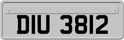 DIU3812