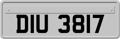 DIU3817