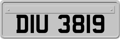 DIU3819