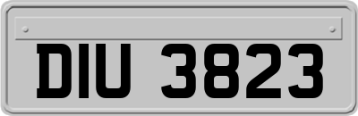 DIU3823