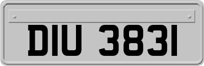 DIU3831