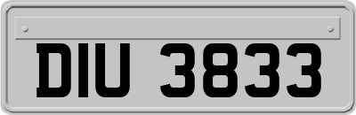 DIU3833