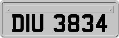 DIU3834